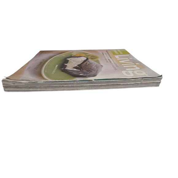 2 Martha Stewart Living Magazines May & November 1999 Thanksgiving Recipes Home - Picture 9 of 10